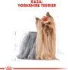 A drawing and photograph of a Yorkshire Terrier dog with text and a logo. Produktbild-Vorschau
