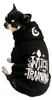 Killstar Hunde Kapuzenjacke - Witch In Training Hoodie M Produktbild-Vorschau 1