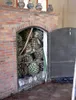 Agave da tequila (Agave tequilana)  - 5 pezzi Anteprima dell’immagine prodotto 6