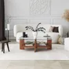 Skye Decor, Babylon, Couchtische, Holz, Glas, 105 x 40 x 60 Produktbild-Vorschau 6