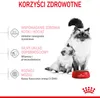Royal Canin Mother & Babycat, Dorosły, Każda rasa, Drób, 4 Podgląd zdjęcia produktu 3