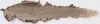 Vivienne Sabo - Classic Brow Pencil Coup de Genie, Typ:ash Produktbild-Vorschau 5
