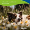 Canina Canizeck Plus Tabletten 180g Podgląd zdjęcia produktu 4