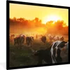 MuchoWow® Gerahmtes Poster Kühe - Sonnenuntergang - Wiese - Produktbild-Vorschau 1