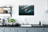 MuchoWow® Poster Junge Robbe im Atlantischen Ozean 90x60 cm Produktbild-Vorschau 3