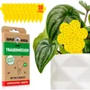 Super Ninja Gelbfalle 10er Produktbild-Vorschau 1