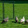 horizont Hotgate Weidetor  Tor für Weidezaun 105-120 cm Produktbild-Vorschau 7