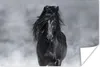 MuchoWow® Poster Pferd - Schwarz - Smoke 120x80 cm - Bilder Produktbild-Vorschau 1