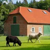 Izrielar Mobiler Hundezaun Weidezaun 115 cm x 25 m – Produktbild-Vorschau 10