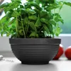 A close-up of a basil plant in a dark gray pot on a windowsill, with tomatoes blurred in the background. Produktbild-Vorschau