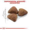 Royal Canin Home Life Indoor 27, Dospělý jedinec, 4 kg Náhled obrázku produktu 7