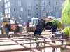 TJEP ULTRA GRIP 40 Bindemaschine 12-40mm im SET, Produktbild-Vorschau 8