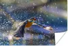 MuchoWow® Poster Eisvogel - Wasser - Fisch 30x20 cm - Produktbild-Vorschau 1