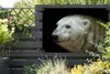 MuchoWow® Produktbild-Vorschau 5