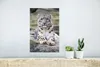 MuchoWow® Poster Schneeleopard - Stein - Schwarz 20x30 cm - Produktbild-Vorschau 5