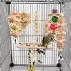 Wellensittich Spielzeug, Papageienspielzeug Vogelspielzeug Produktbild-Vorschau 2
