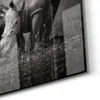 DEQORI Glasbild Echtglas 50x50 cm 'Stille Titanen' Wandbild Produktbild-Vorschau 5