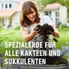 Dünger Substrat Für Kakteen 5L Compo Produktbild-Vorschau 15