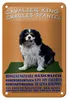 Blechschild Spruch 12x18cm Cavalier King Charles Spaniel Produktbild-Vorschau 1