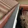 Schuimfilter voor rechthoekige dakgoot, model 125 Optimum, Productafbeelding-voorbeeld 12