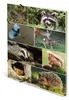 HERMA Eckspannermappe "Waldtiere" Karton DIN A3 Produktbild-Vorschau 8