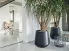 A modern interior hallway with large potted plants and a butterfly chair. Anteprima dell’immagine prodotto