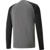 Puma Teampacer Tw-Trikot Langarm Kinder - Grau / Schwarz Produktbild-Vorschau 2