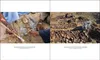 5000 Jahre Ägypten Produktbild-Vorschau 8