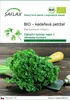 SAFLAX - BIO – kadeřavá petržel - Petroselinum crispum - Náhled obrázku produktu 1