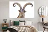 MuchoWow® Poster Steinbock - Tiere - Hoorn 180x120 cm - Produktbild-Vorschau 4