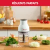 Moulinex DJ5201 elektrischer Fleischwolf Lebensmittel 0,4 L Produktbild-Vorschau 24