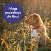 Canosept Wundspray f.Hunde 75 ml Produktbild-Vorschau 7
