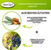 Balsamico Creme Dattel 0,5L 3% Säure Mit original Crema di Produktbild-Vorschau 3