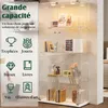 Armadio in vetro con illuminazione a LED, 2 ante con Anteprima dell’immagine prodotto 6