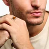 Thomas Sabo TR2388-826-2 Herrenring, Ringgröße:52 Produktbild-Vorschau 2