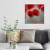 DEQORI Glasbild Echtglas 50x50 cm 'Mohnblütenzauber' Produktbild-Vorschau 3