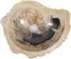 Differnz Aufsatzwaschbecken versteinertes Holz ca. 45 cm Produktbild-Vorschau 3