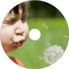 Verbatim DVD-R 16x Speed 4,7GB , 25er, Rohlinge Produktbild-Vorschau 7