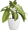Lechuza Obal Classico Color Deco, průměr 10 cm, bílá Náhled obrázku produktu 13