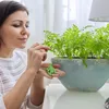 BIOPON hnojivo na kvetoucí a zelené rostliny 30ks. Náhled obrázku produktu 3