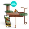 Birdfy Jolly V koupel a pítko pro ptáky (AI předplatné) Náhled obrázku produktu 3