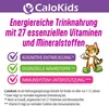 Marketing image for CaloKids children's drinkable nutrition, highlighting key benefits with icons and text. Produktbild-Vorschau