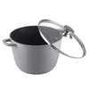 A gray pot with a speckled black interior and a glass lid with a silver handle, shown against a white background. Náhľad obrázku produktu