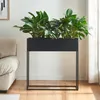 A black planter with green plants sits on a wooden floor next to a cream-colored sofa and a white wall with a framed picture. Podgląd zdjęcia produktu