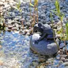 CLGarden Wasserspeier Komplettset Frosch auf einem Stein Produktbild-Vorschau 9