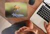 MuchoWow® Mauspad Mousepad Pfahl - Rotkehlchen - Natur Produktbild-Vorschau 3