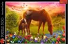 Puzzle Kone na lúke/500 dielikov Náhľad obrázku produktu 1