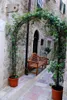 A narrow stone alleyway with a wooden bench under a metal archway covered in vines. Podgląd zdjęcia produktu