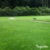 Topdressing Trawników – Mieszanka z Mykoryzą i Podgląd zdjęcia produktu 8