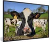 MuchoWow® MuchoWow® Gerahmtes Poster Kuh - Zaun - Gras - Produktbild-Vorschau 1